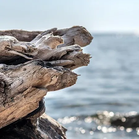 Anita Affittacamere 4*